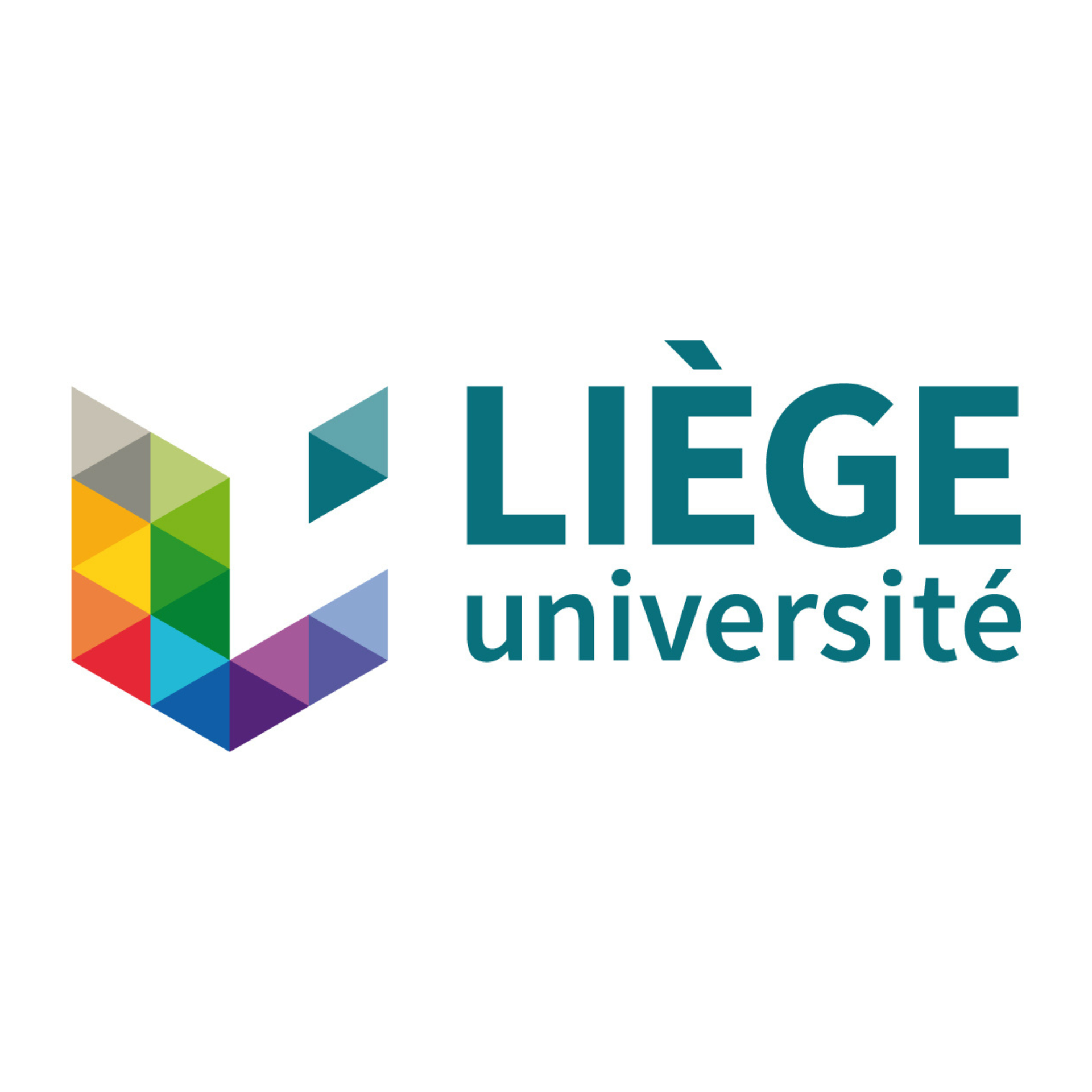 Partner image